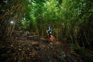 BIB: 
                            <button type="button" onclick="openModal(25098096)" class="btn btn-primary btn-sm float-right btn-popup" data-toggle="modal" data-target=".modal-high-quality">
                        <i class="fas fa-shopping-cart"></i> Add to Cart
                    </button>
                                            <button type="button" onclick="isThisMe(25098096, true)" class="btn btn-success btn-sm float-right btn-popup btn-isme hidden" data-toggle="tooltip" data-placement="bottom" title="นี่คือรูปของคุณใช่ไหม คลิกที่นี่เพื่อเอาเข้าอัลบั้ม">
                        <i class="fas fa-plus"></i> Add to album
                    </button>
                    <button type="button" onclick="isThisMe(25098096, false)" class="btn btn-warning btn-sm float-right btn-popup btn-isnotme hidden">
                        <i class="fas fa-ban"></i> Remove from album
                    </button>